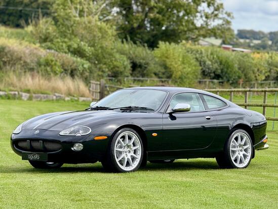 JAGUAR